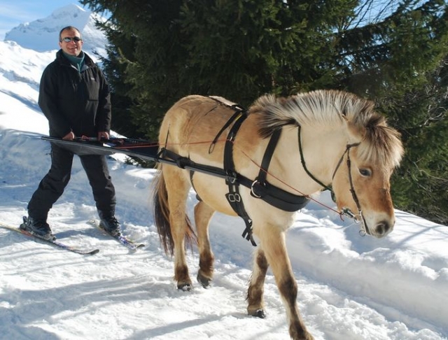  descenle tranquille en ski joering 